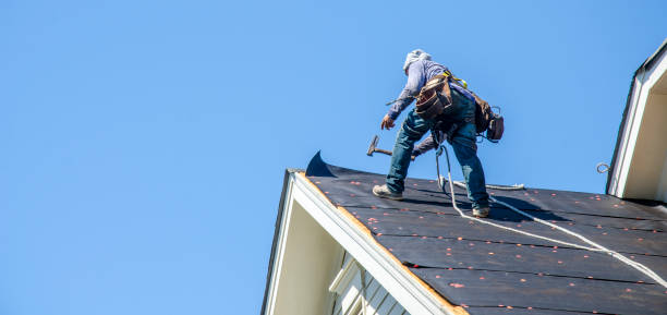 Best Storm Damage Roof Repair  in Mount Ayr, IA